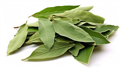 dried bay leaves isolated on white