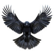 A black crow is flying in the air with its wings spread wide isolated on white or transparent background, png clipart, design element. Easy to place on any other background.