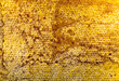 background of golden honeycomb and honey