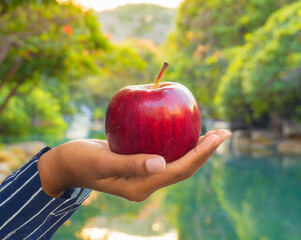 Woman's hand holding a red apple.