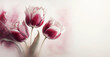 Tulipany w kolorze bordo, wiosenne kwiaty. Jasne pastelowe tło, puste miejsce na tekst, zaproszenie