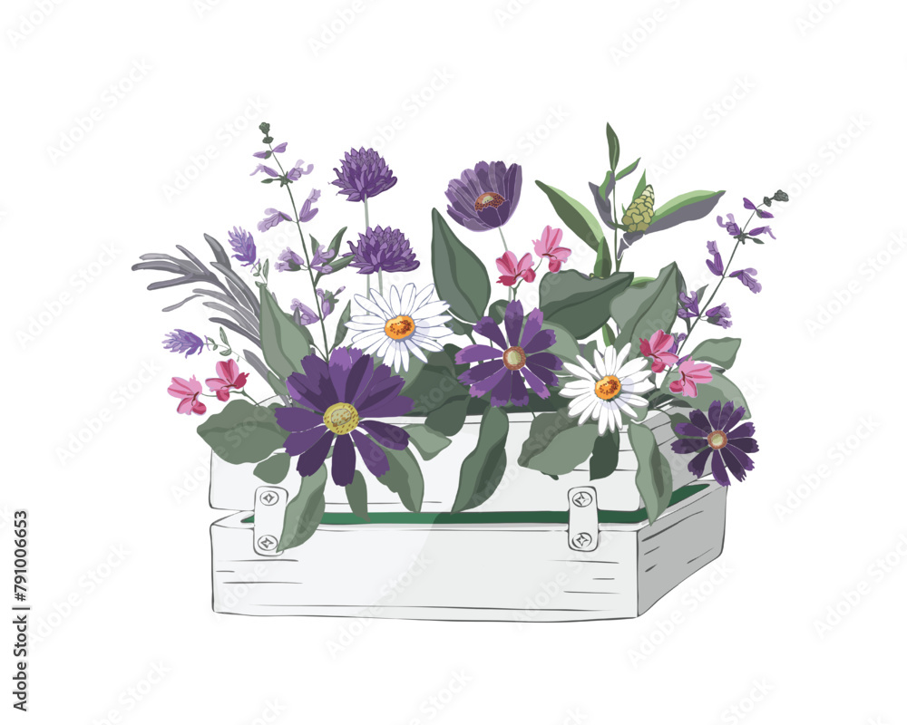 Floral Box Vector Image Vector flowers and herbs in a garden wooden white box. Stock Vector ...