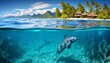 A pod of dolphins leaps and twists through a crystalclear lagoon, their joyful acrobatics mirrored in the turquoise water