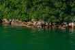 garças sobre as pedras na costa do mar em Florianópolis, Brasil