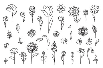 Wall Mural - Set of simple flower and plant elements in doodle style. Stylized flowers, plant branches, leaves. Hand drawn simple icons. Symbol of gardening, the arrival of spring, summer. Vector illustration