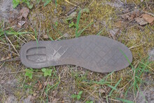 A Piece Of Gray Rubber Sole From An Old Torn Dirty Shoe Lies On The Green Moss And Ground On The Street