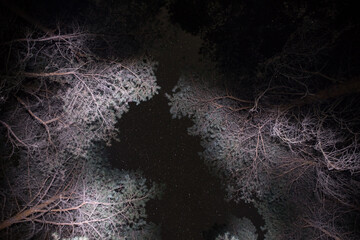 Wall Mural - mountain road through the forest on a full moon night. scenic night landscape of country road at nig