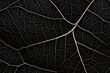A monochromatic background focusing on the artistic pattern of leaf veins and cells, showcasing the natural symmetry and texture   Generative AI,