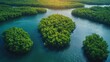 Lush Mangrove Forest from Above Generative AI