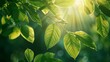 Vibrant Foliage's Captivating Natural Essence Generative AI