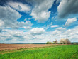 countryside landscape with fields, old wooden mill and clouds in spring sky