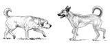 Fototapeta Koty - Retriever guard dog pets purebred realistic two domestic animals vector hand drawn illustration isolated on white