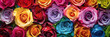 Background colorful roses