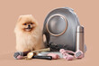 Cute Pomeranian dog with backpack carrier and travel accessories on beige background