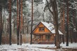 fairy-tale house among a beautiful winter forest landscape