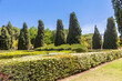 Landscape design. A park with thujas, cypresses and topiary juniper bushes.