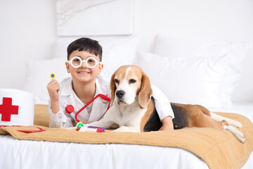 Sticker - Cute little doctor with Beagle dog and toys lying in bedroom