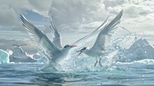 Medium Sized Sea Birds Known As Terns Are Able To Plunge Into The Water To Catch Fish