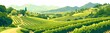 illustration of vineyards on the hills, simple shapes, simple lines