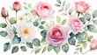 watercolor arrangements with garden roses collection pink flowers leaves branches botanic il