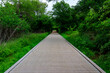 A wooden boardwalk stretches out into the distance, flanked by lush greenery on either side. The path appears to be in a tranquil, natural environment.