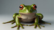 frog in new style 