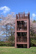 筆山の展望台　桜咲く季節　（高知県　高知市　202404）