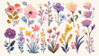 Collection of detailed drawings of trendy floristic