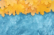 Autumn leaves frame on up side blue structured background top view Fall Border yellow and Orange Leaves vintage background table Copy space. Mock up for your design. Display for product or text