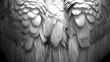 birds wings in monochrome, showcasing intricate feather patterns and textures