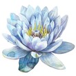 A watercolor painting of a blue water lily with a yellow center.