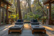 **two lounge chairs are on a deck in the forest, in the style of exotic flora and fauna, landscape-focused, expansive landscapes, organic, southern countryside, high quality photo, plein air landscape