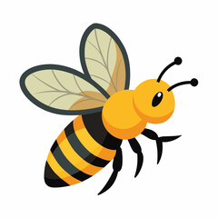 bee and honey vector illustration