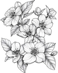 Wall Mural - black and white cherry flowers for coloring book