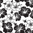 © Diego Ribeiro - Black and White Tropical Summer Hawaiian Hibiscus Seamless Pattern