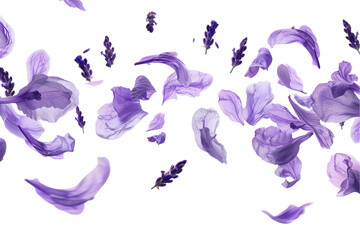 Wall Mural - purple flowers flew perfect for a spring or summer design