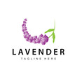 Lavender logo simple design vector cosmetic plant purple color and aromatherapy lavender flower garden template