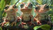 Frogs Animal Viruses explored through a story of supernatural powers, where a mystic islands fauna exhibit bizarre symptoms leading to heroic quests for a cure