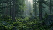 Pine forest scene with mist