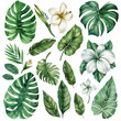 A collection of tropical plants and flowers, including a large leafy plant