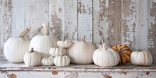 White Pumpkins And Gourds Of Various Sizes Sit On A Rustic Wooden Table Against A Peeling Whitewashed Fence Creating A Simple, Yet, Elegant Still Life.