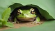 a hole in a light green paper, a frog can be seen peeping ou