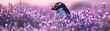 With a tiny pair of heartshaped sunglasses perched on its beak, a curious penguin waddles across a field of lavender, its black and white body a charming contrast against the pastel perfection, a tour