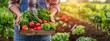 © CYBERUSS - Close up young farmer hands holding a box of organic vegetables in agriculture farm, Harvesting organic fresh food in garden for healthy life and good nutrition