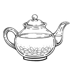 Wall Mural - Teapot of tea with healthy tea, barberry. Hand drawn vector illustration in outline style.