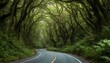 A rugged road snaking through a dense canopy of tr upscaled 27