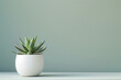 A small white pot with a green plant in it sits on a table . copy space