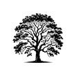 Shadows of the Grove: Black Vector Ash Tree Silhouette, Whispering Tales of Nature's Majesty- Ash Tree Illustration- Ash Tree Vector Stock.