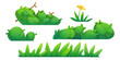 Grass, bushes and flowers border. Cartoon vector illustration set of spring or summer field and garden decoration elements. Green vegetation for springtime or Easter design. Meadow and lawn plants.