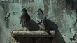 Two pigeons perch on cement surface in the southern area